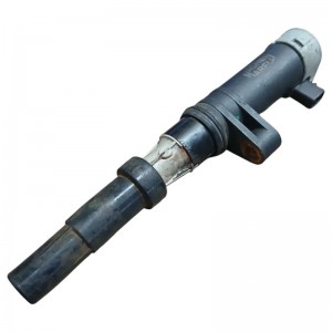 Bobina de Ignição Renault Clio Kangoo Logan Megane Sandero - B10021MM