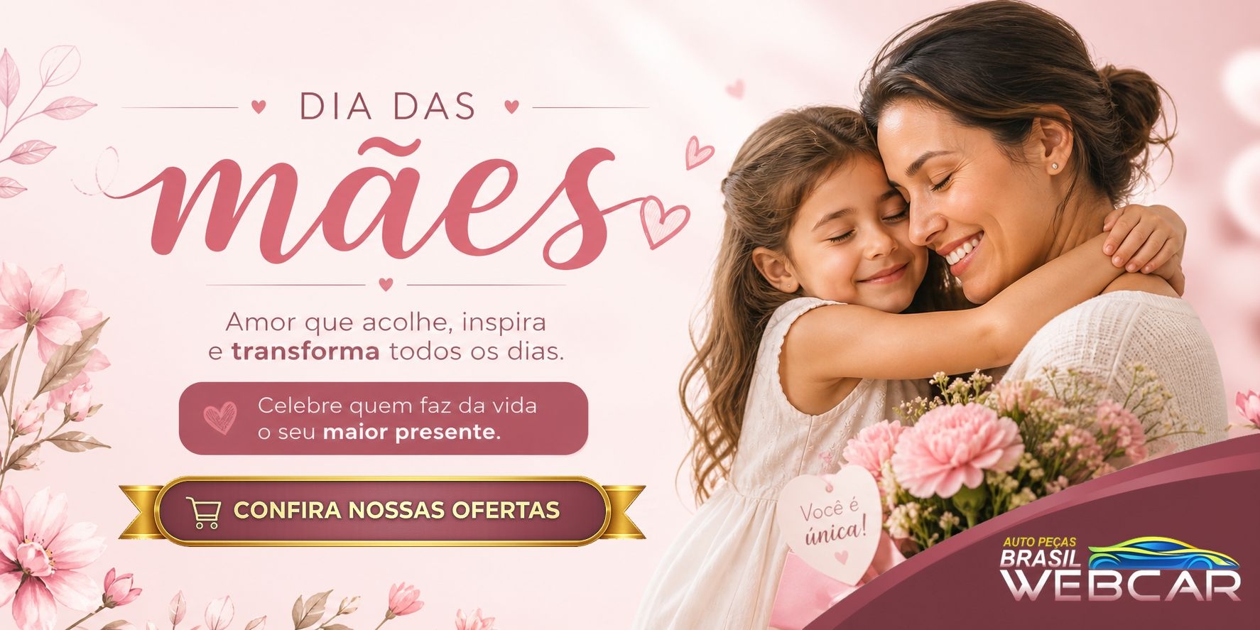 Brasil Webcar